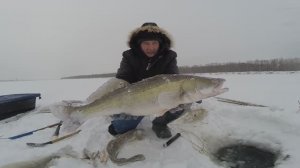 Рыбалка в Сибири, часть 83.