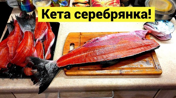 Морская кета! Рыба живое серебро!