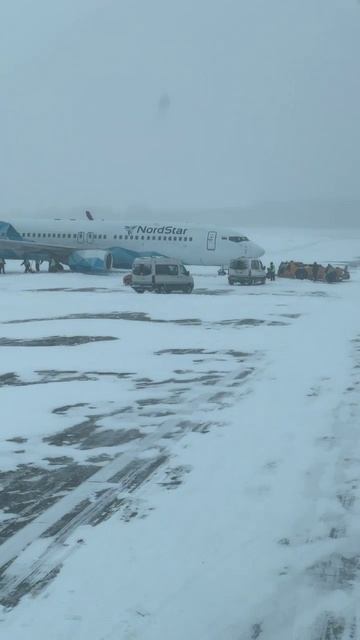 Снегопад в ДМЕ!