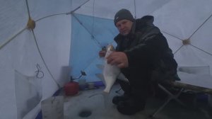 Зимняя рыбалка .Расклевалась,а нам уезжать. День третий. Ловля подлеща на Рузе.