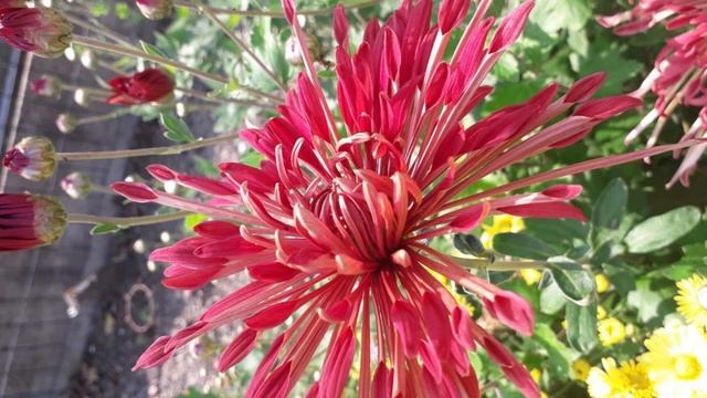 С ДНЁМ РОЖДЕНИЯ! смотреть онлайн