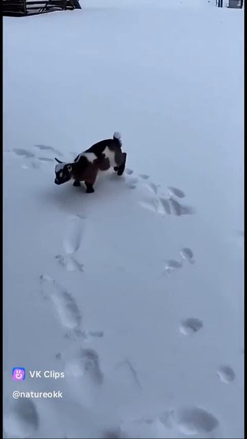 Когда не надо на работу смотреть онлайн