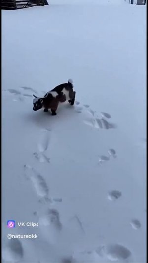 Когда не надо на работу