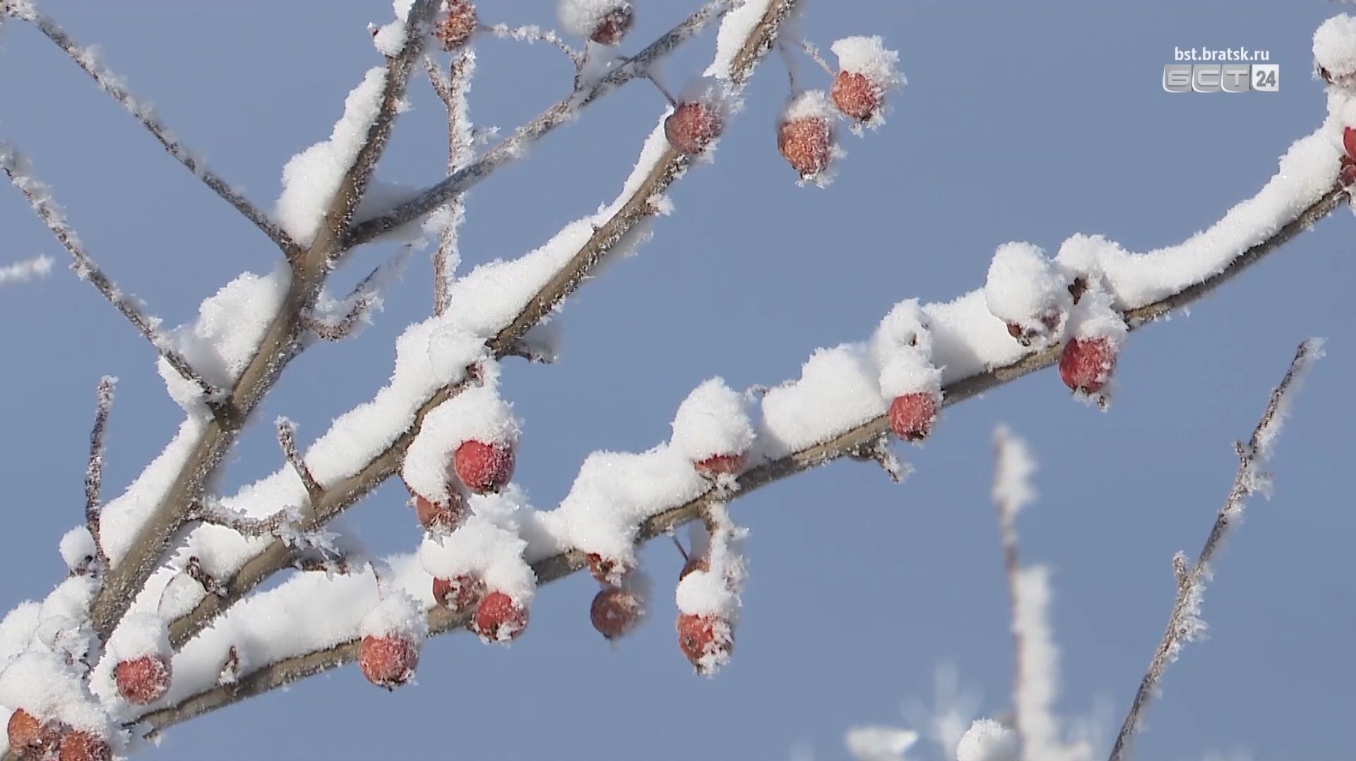 Сколько продлятся крещенские морозы в Братске смотреть онлайн