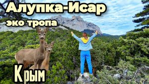 Крым дарит эмоции!Тропа Алупка Исар: ПОТРЯСАЮЩИЕ ВИДЫ на Ай-Петри и НЕВЕРОЯТНАЯ ВСТРЕЧА с косулями!
