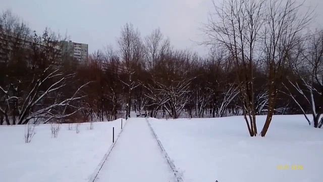 Парк «Чермянка» 10.01.2026