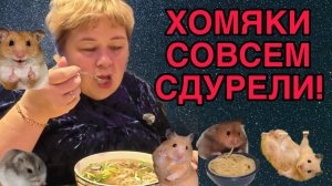 ХОМЯКИ СОВСЕМ СДУРЕЛИ. ОЛЬГА УРАЛОЧКА LIVE. ОБЗОР.