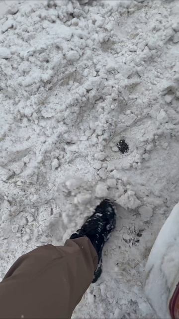 Полная инструкция использования автомобиля зимой🥶 смотреть онлайн