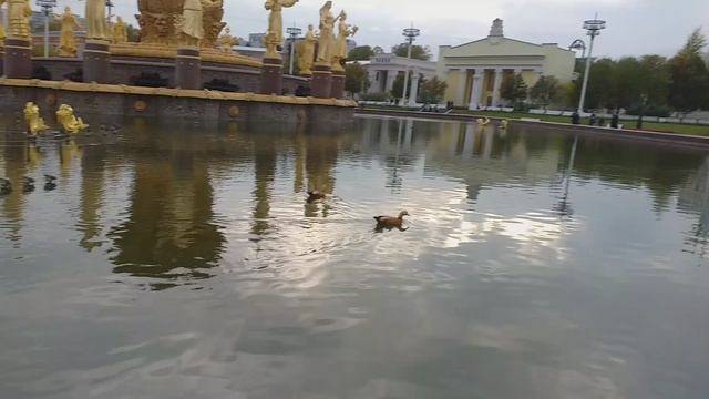 ФОНТАН НА ВДНХ...МОСКВА