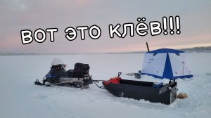 шикарный клёв!!! классно отловились с отцом. рыбалка 2026