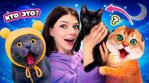 ВЗЯЛА КОТЕНКА 😱  МОИ ПИТОМЦЫ В ШОКЕ!