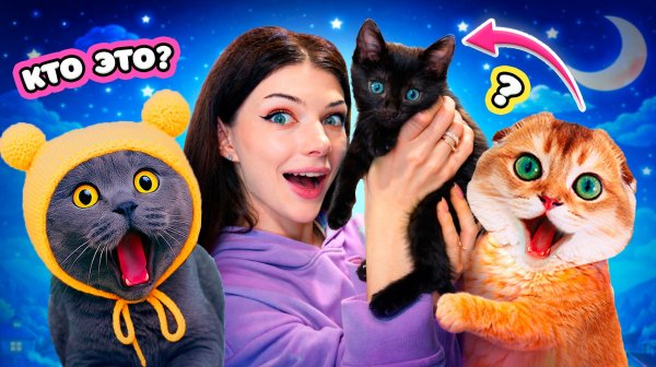 ВЗЯЛА КОТЕНКА 😱  МОИ ПИТОМЦЫ В ШОКЕ!