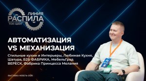 Автоматизация или механизация на мебельном производстве. Ток-шоу «Линия распила»