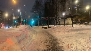 Влог. Грибной суп с перловой крупой. Стоматология. Засаливаю сельдь дома.