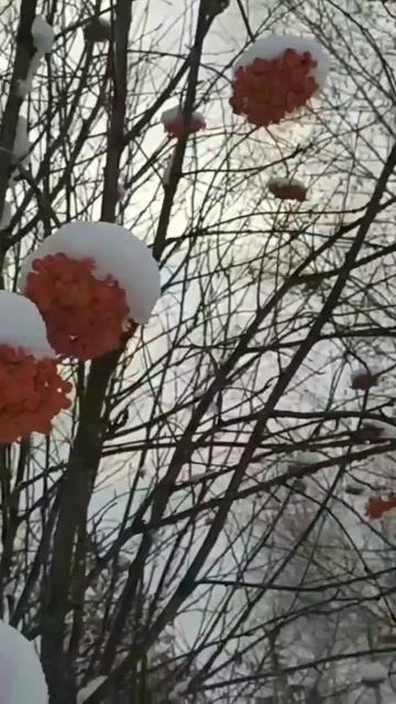 Зима будет долгой