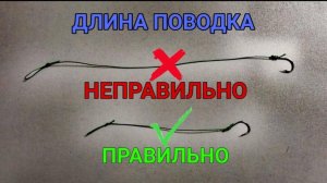 ФИДЕР. Влияние длины поводка на клев и засечку рыбы #рыбалка #фидер #флэтфидер #карпфишинг #карп