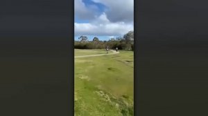 #смешныевидео -28