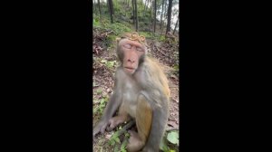 #смешныевидео -167