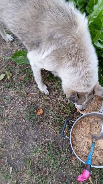 Грета пришла смотреть онлайн