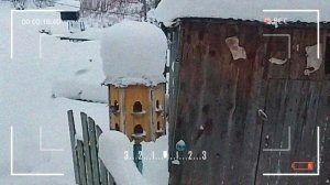 12.4. Создание эффекта камеры и HUD слоев