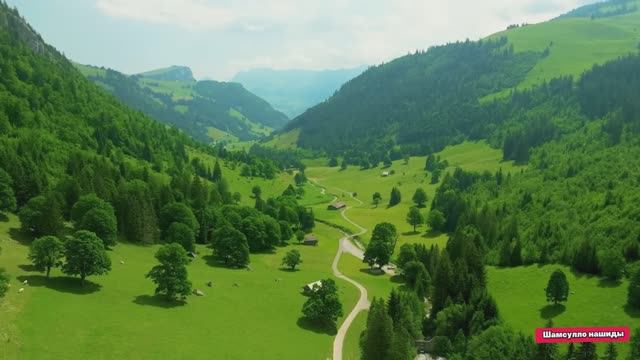 Коран сура  Аль-Кахф чтец Мухаммад аль-Факих