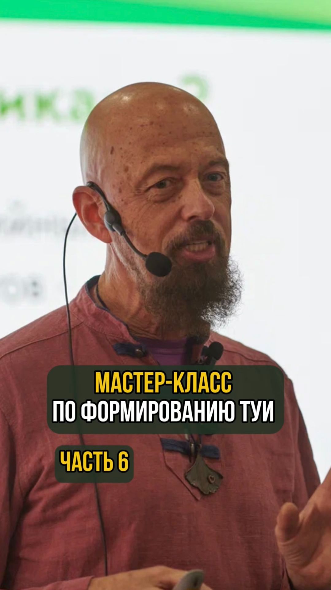 Мастер-класс по формированию туи. Часть 6 смотреть онлайн