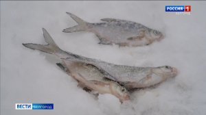 Белгородские инспекторы призывают рыбаков к осторожности на льду