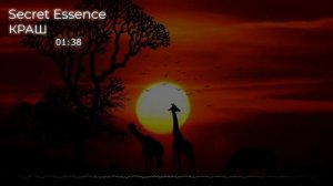 Secret Essence - Краш