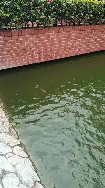 В этом храме нет часов. Только дыхание Храм, где победили не врага, а самого себя смотреть онлайн