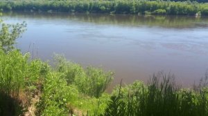 Ока июнь 2022