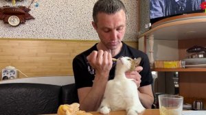 КАК НАКОРМИТЬ КОШКУ ЕСЛИ ОНА НЕ ХОЧЕТ ЕСТЬ И ПИТЬ. СОВЕ