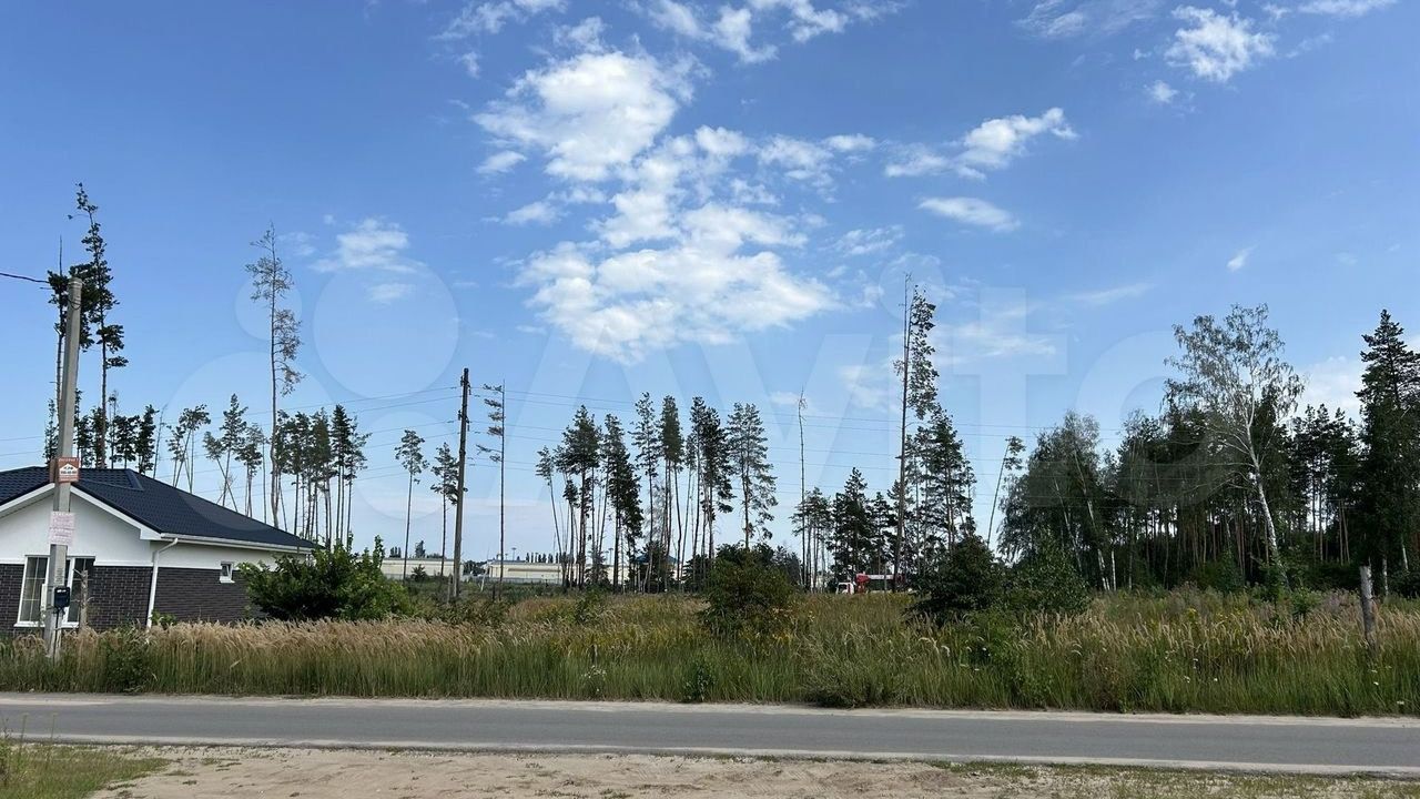 video5417966326096367597 смотреть онлайн
