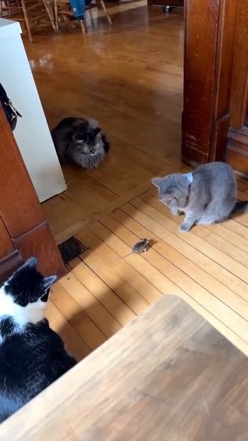 Недоумение смотреть онлайн