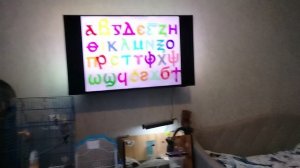 coptic alphabet dancing