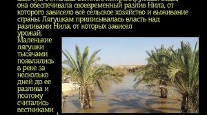 Казни над Египтом: жабы.