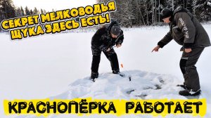 Секрет мелководья. Щука здесь есть! Краснопёрка работает.