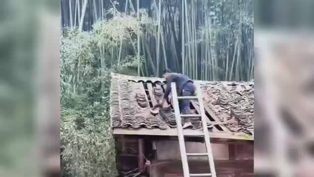 A Young Couple's Year Of Renovating An Old House _ A Journey Of Love And Devotio