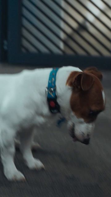 Спасает Алису любыми способами 😅 смотреть онлайн