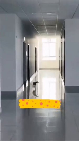 Видео от МЯУтаверс – как метавселенная, но с котами