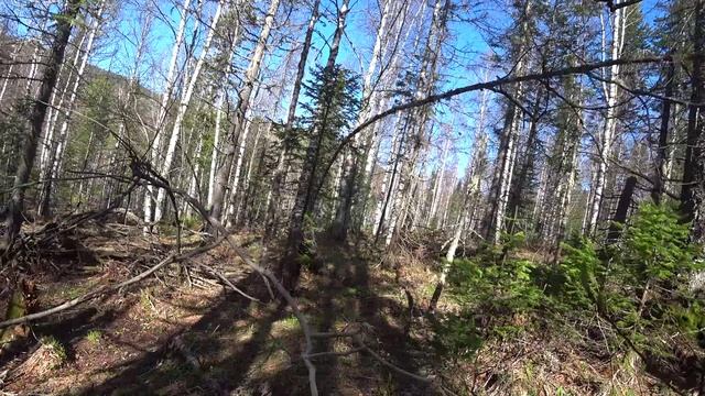 ГОРНАЯ ШОРИЯ / ПОТАЕННАЯ ИЗБА ОХОТНИКА / ОТДЫХ НА ИЗБЕ