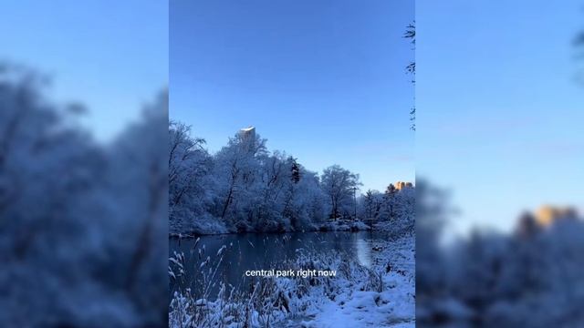 Winter смотреть онлайн