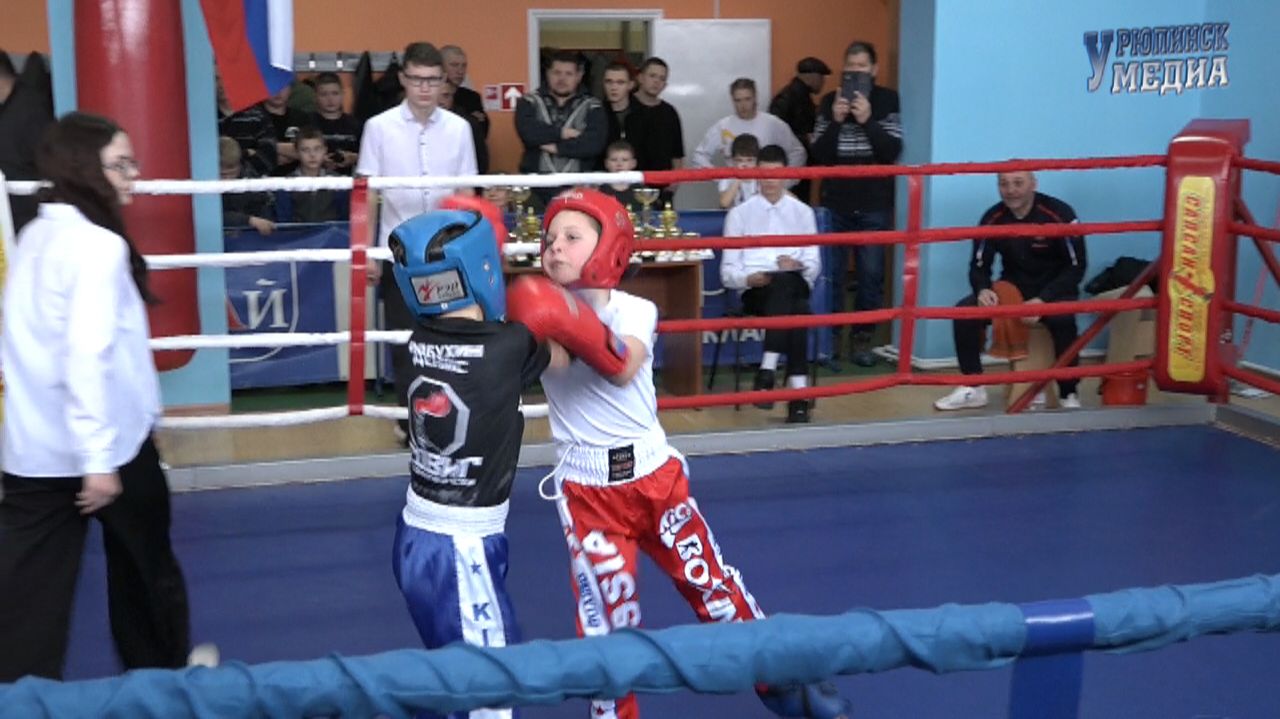 Соревнования по кикбоксингу в Урюпинске 2025 смотреть онлайн