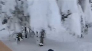 Видео от нашего покупателя Андрея Михайловича из Санкт-Петербурга.