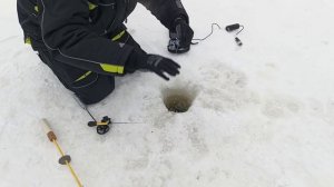 VID_20260113_150209_793