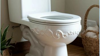 Последовательность удаления унитаза для замены на новый. смотреть онлайн