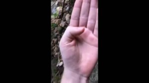 COUB compilation _ нарезка COUB -329