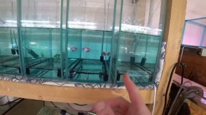 Немного работы на сегодня