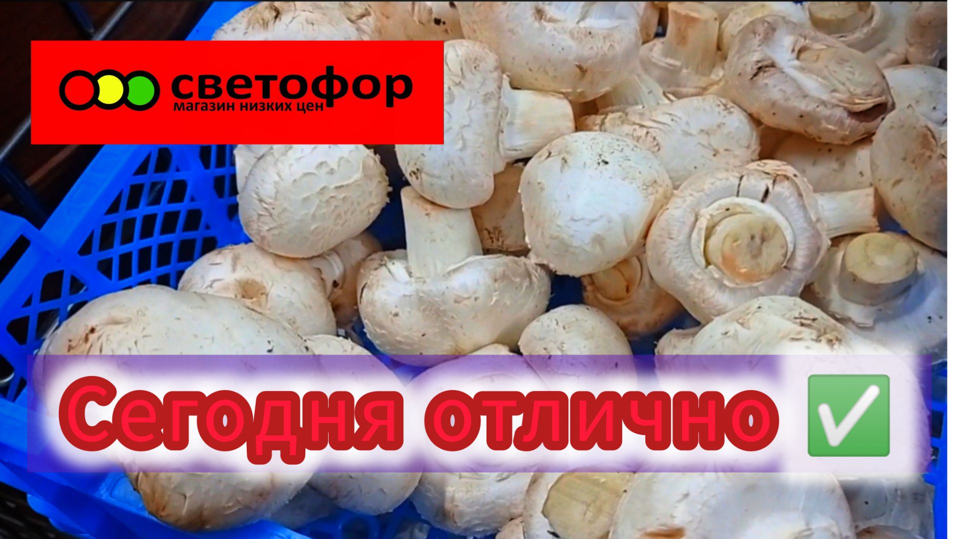 СВЕТОФОР🚦ЦЕНЫ НА ПРОДУКТЫ ПИТАНИЯ В НАЧАЛЕ ГОДА 2026🎄 смотреть онлайн