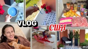 США Влог Начало года К нам кто то приходил