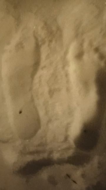 что за точки? после бассейна